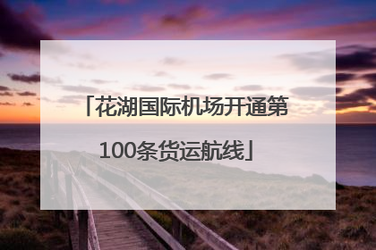 花湖国际机场开通第100条货运航线