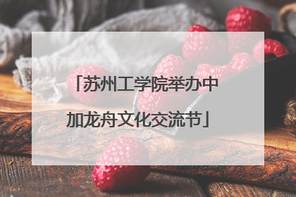 苏州工学院举办中加龙舟文化交流节