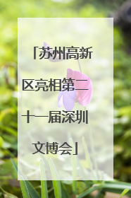苏州高新区亮相第二十一届深圳文博会