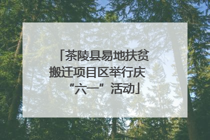 茶陵县易地扶贫搬迁项目区举行庆“六一”活动
