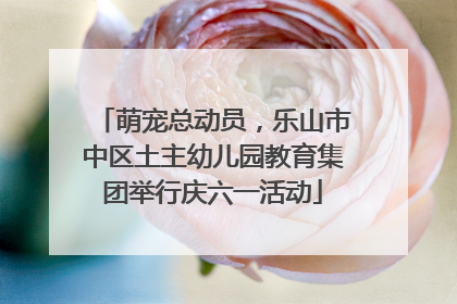 萌宠总动员，乐山市中区土主幼儿园教育集团举行庆六一活动