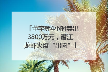 董宇辉4小时卖出3800万元，潜江龙虾火爆“出圈”