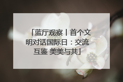 蓝厅观察丨首个文明对话国际日：交流互鉴 美美与共