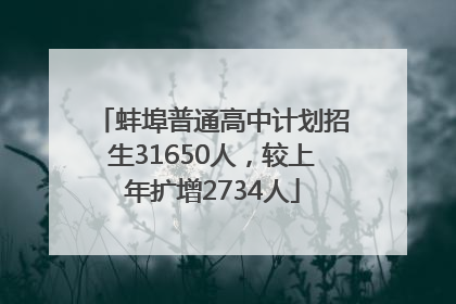 蚌埠普通高中计划招生31650人，较上年扩增2734人