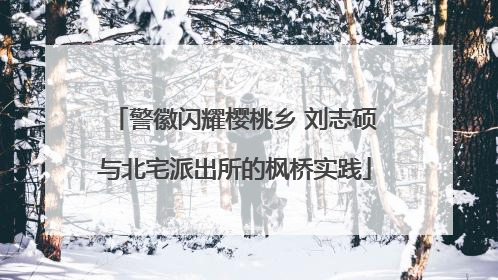 警徽闪耀樱桃乡 刘志硕与北宅派出所的枫桥实践