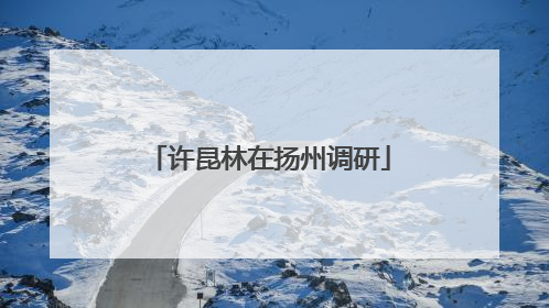 许昆林在扬州调研