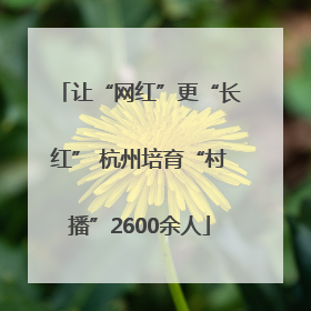 让“网红”更“长红” 杭州培育“村播”2600余人