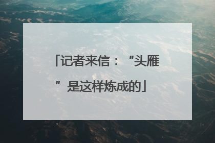 记者来信：“头雁”是这样炼成的