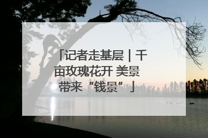 记者走基层｜千亩玫瑰花开 美景带来“钱景”