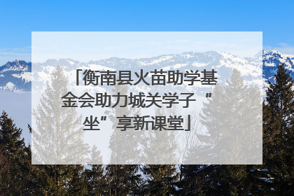 衡南县火苗助学基金会助力城关学子“坐”享新课堂