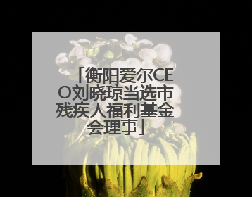 衡阳爱尔CEO刘晓琼当选市残疾人福利基金会理事