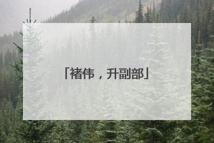 褚伟，升副部