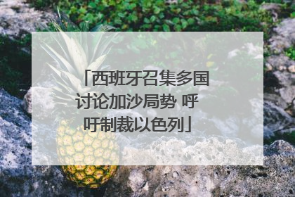 西班牙召集多国讨论加沙局势 呼吁制裁以色列