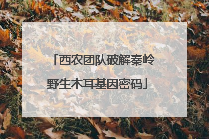 西农团队破解秦岭野生木耳基因密码