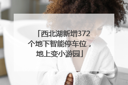 西北湖新增372个地下智能停车位，地上变小游园