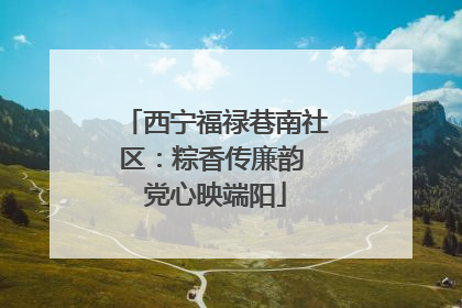 西宁福禄巷南社区：粽香传廉韵 党心映端阳