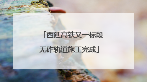 西延高铁又一标段无砟轨道施工完成