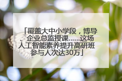 覆盖大中小学段，博导、企业总监授课……这场人工智能素养提升高研班参与人次达30万