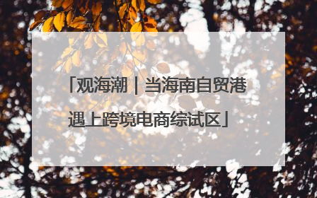 观海潮｜当海南自贸港遇上跨境电商综试区