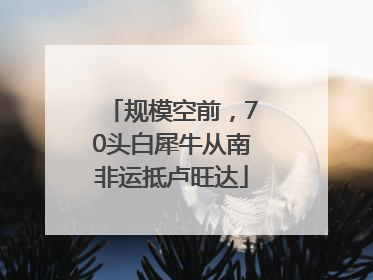 规模空前，70头白犀牛从南非运抵卢旺达
