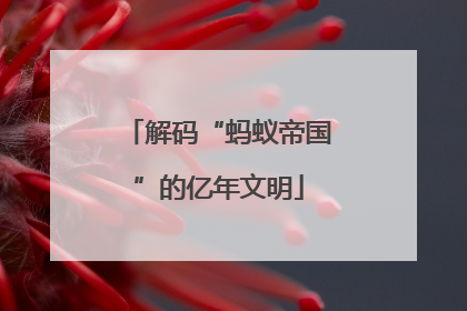 解码“蚂蚁帝国”的亿年文明
