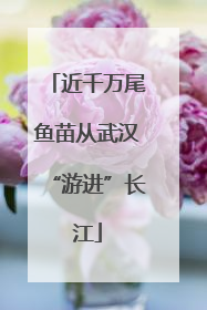 近千万尾鱼苗从武汉“游进”长江