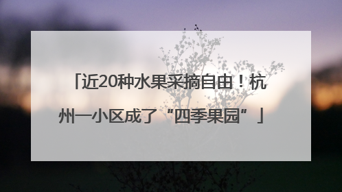 近20种水果采摘自由！杭州一小区成了“四季果园”