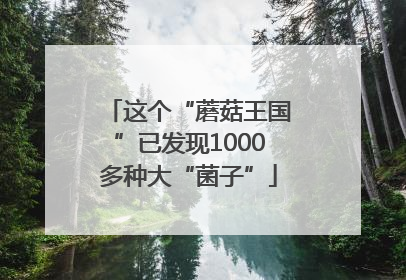 这个“蘑菇王国”已发现1000多种大“菌子”