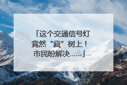 这个交通信号灯竟然“藏”树上！市民盼解决……