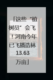 这些“植树员”会飞！河南今年已飞播造林13.63万亩