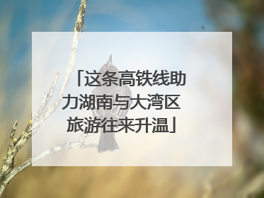 这条高铁线助力湖南与大湾区旅游往来升温