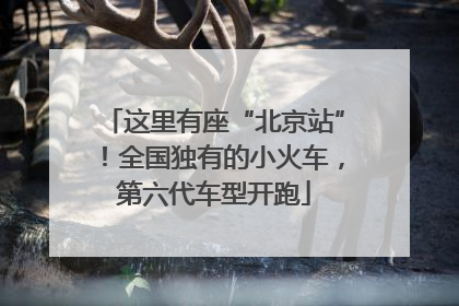 这里有座“北京站”！全国独有的小火车，第六代车型开跑
