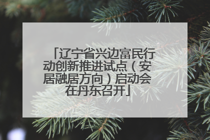 辽宁省兴边富民行动创新推进试点（安居融居方向）启动会在丹东召开