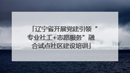 辽宁省开展党建引领“专业社工+志愿服务”融合试点社区建设培训