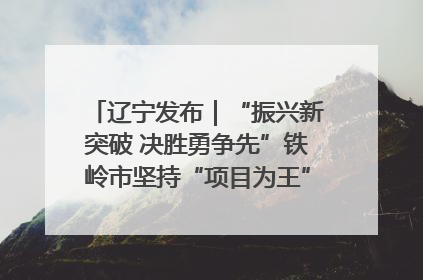 辽宁发布｜“振兴新突破 决胜勇争先”铁岭市坚持“项目为王”推进经济高质量发展