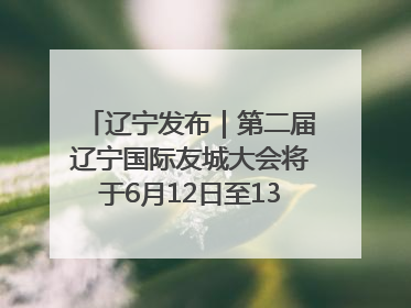 辽宁发布｜第二届辽宁国际友城大会将于6月12日至13日在沈阳举办