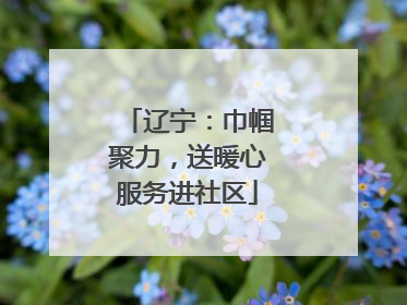 辽宁：巾帼聚力，送暖心服务进社区