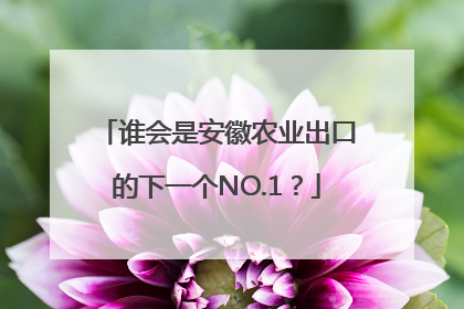 谁会是安徽农业出口的下一个NO.1？