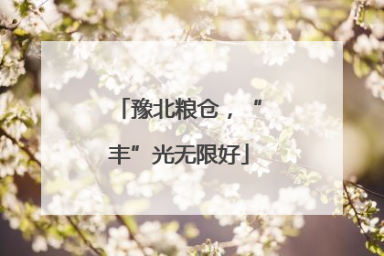 豫北粮仓，“丰”光无限好