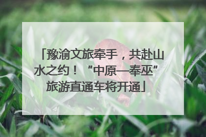 豫渝文旅牵手，共赴山水之约！“中原—奉巫”旅游直通车将开通