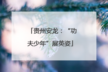 贵州安龙：“功夫少年”展英姿