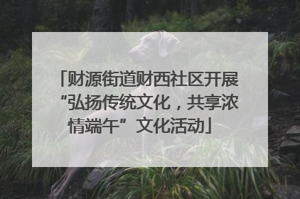 财源街道财西社区开展“弘扬传统文化，共享浓情端午”文化活动