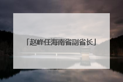 赵峰任海南省副省长