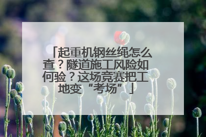 起重机钢丝绳怎么查？隧道施工风险如何验？这场竞赛把工地变“考场”