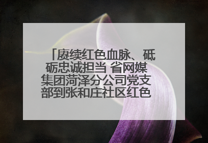 赓续红色血脉、砥砺忠诚担当 省网媒集团菏泽分公司党支部到张和庄社区红色基因传承馆开展主题党日活动