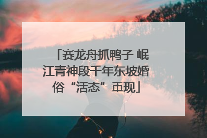 赛龙舟抓鸭子 岷江青神段千年东坡婚俗“活态”重现