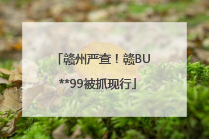赣州严查！赣BU**99被抓现行