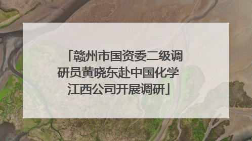 赣州市国资委二级调研员黄晓东赴中国化学江西公司开展调研