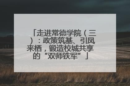 走进常德学院（三）：政策筑基、引凤来栖，锻造校城共享的“双师铁军”