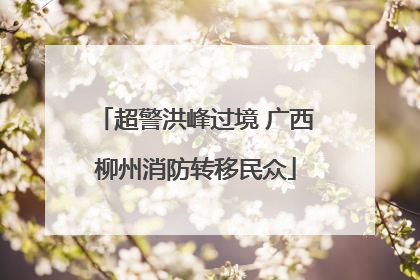 超警洪峰过境 广西柳州消防转移民众